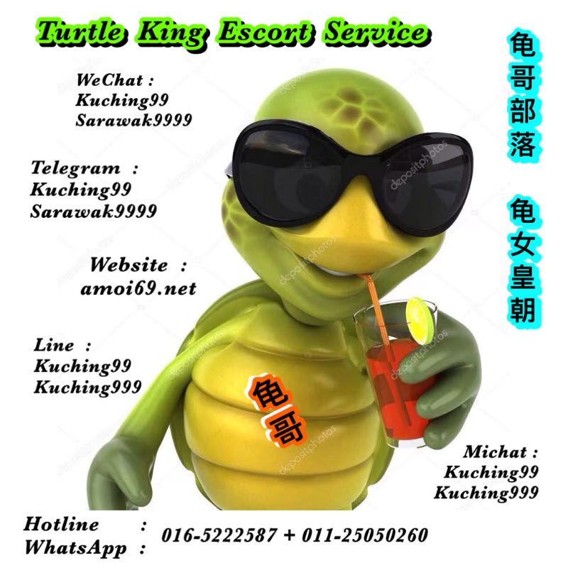 Turtle Escort Service - Amoi69 agent