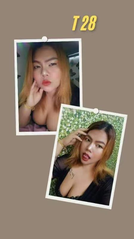 Miss T-28 - Amoi69 No. 4267 - 11510